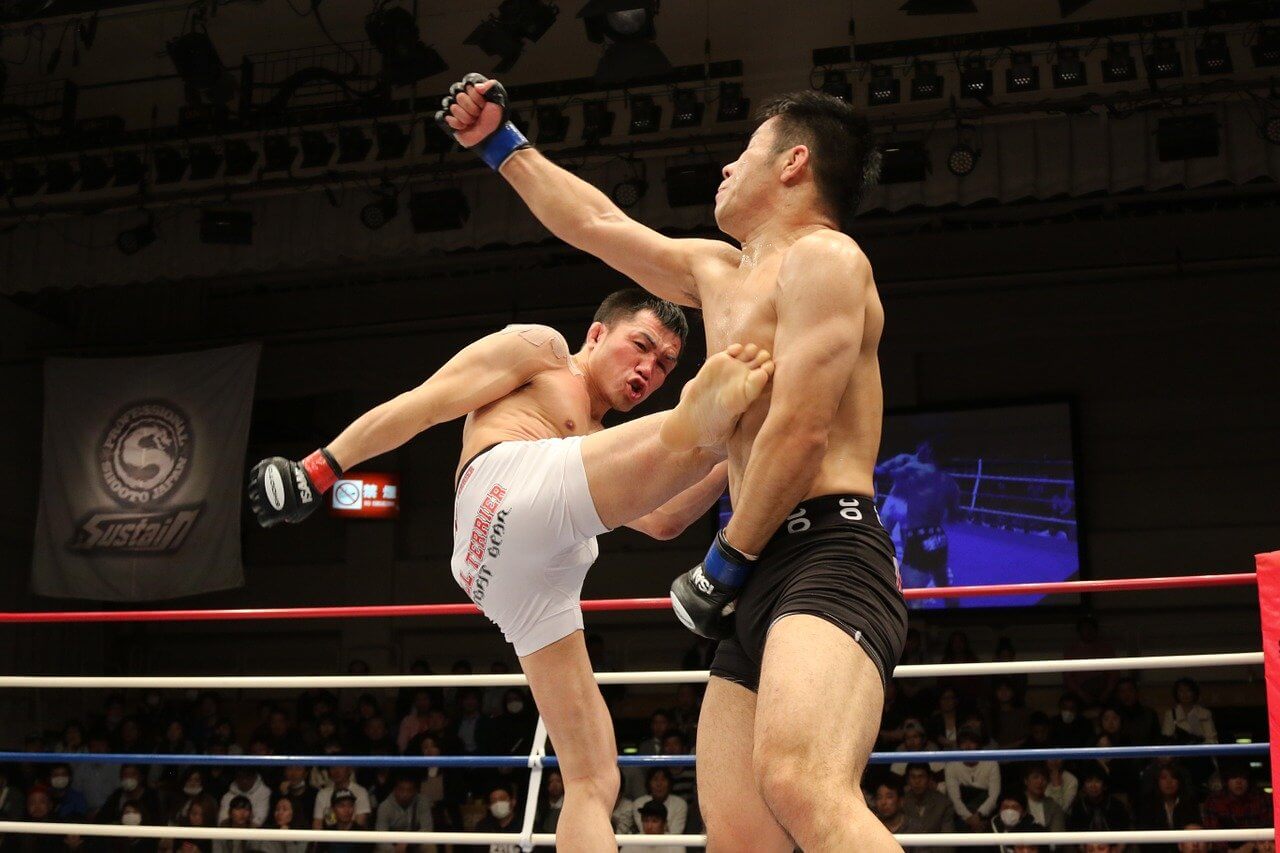 Imagen de una pelea de MMA